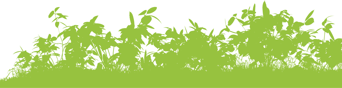 Grass and floral background